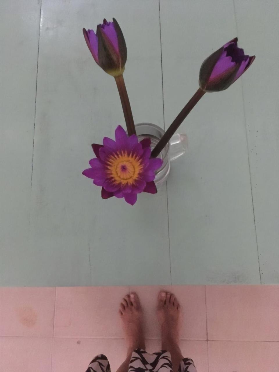 Layback Boutique Surf & Yoga Camp Sri Lanka Hostel Weligama Ngoại thất bức ảnh
