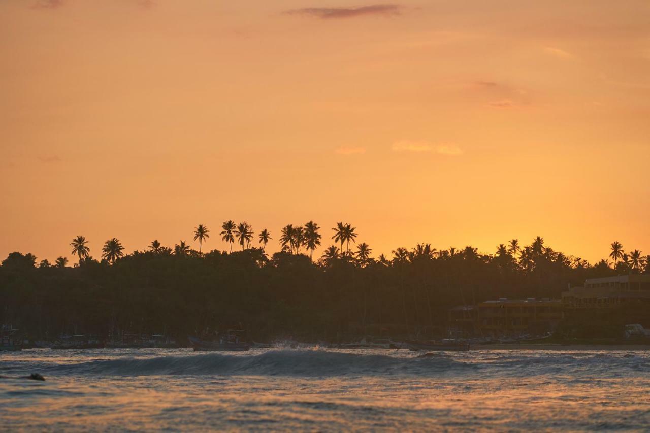 Layback Boutique Surf & Yoga Camp Sri Lanka Hostel Weligama Ngoại thất bức ảnh