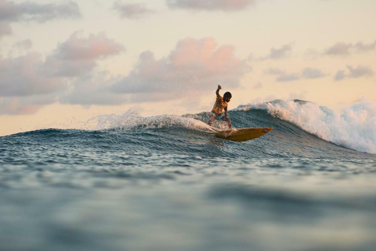 Layback Boutique Surf & Yoga Camp Sri Lanka Hostel Weligama Ngoại thất bức ảnh